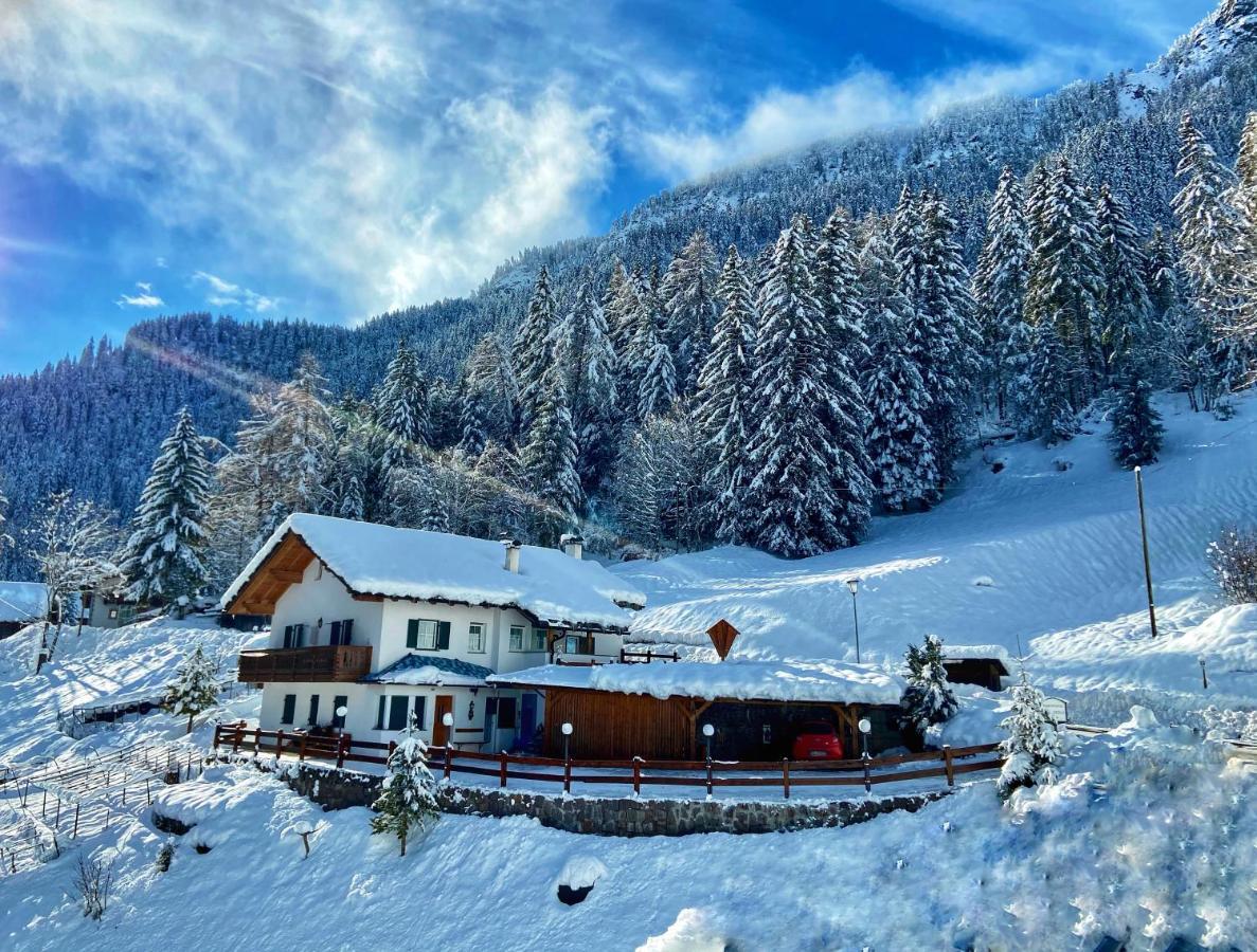 Cesa Vedla - Quite And Cozy Alpine Escape Ortisei Eksteriør billede