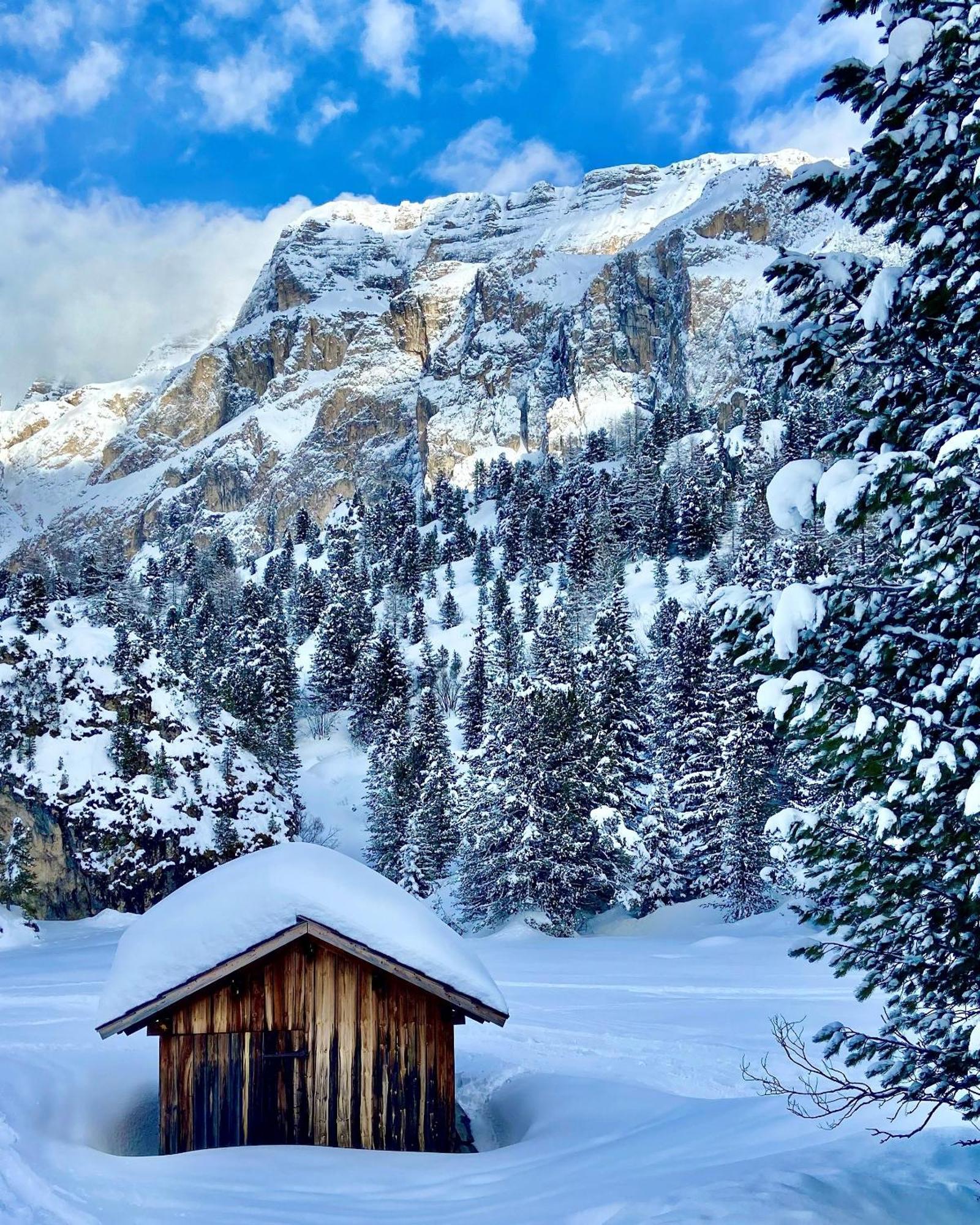 Cesa Vedla - Quite And Cozy Alpine Escape Ortisei Eksteriør billede