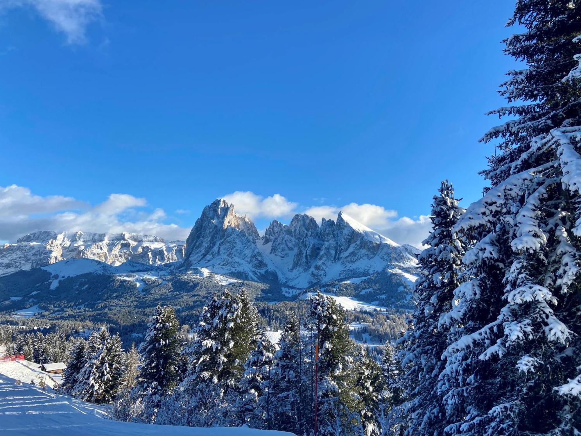 Cesa Vedla - Quite And Cozy Alpine Escape Ortisei Eksteriør billede